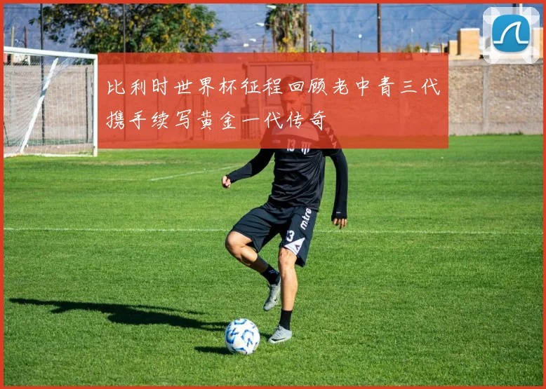 比利时世界杯征程回顾老中青三代携手续写黄金一代传奇